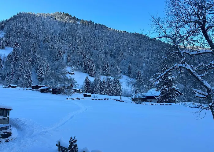 公寓 Haus Lechner *