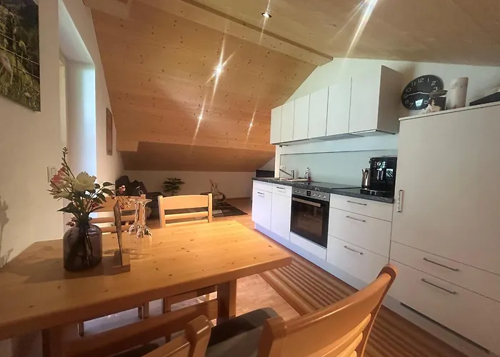 Haus Lechner 公寓 加舒恩